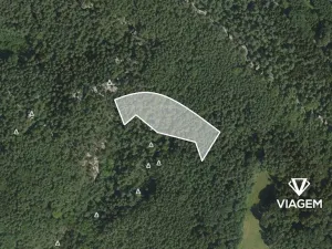 Prodej podílu lesa, Mírová pod Kozákovem, 2093 m2