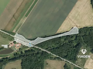 Prodej podílu lesa, Tulešice, 3694 m2