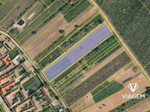 Prodej zahrady, Havraníky, 3121 m2