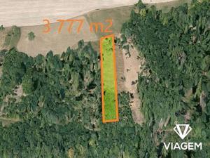 Prodej lesa, Hradec nad Moravicí, 3777 m2