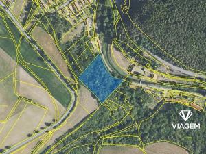 Prodej podílu lesa, Chlum, 1311 m2