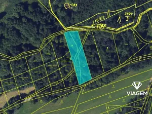 Prodej podílu lesa, Kořenec, 541 m2