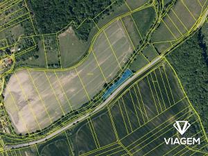 Prodej louky, Nedachlebice, 1996 m2