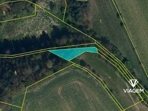 Prodej podílu lesa, Krásná Hora, Kojkovice, 598 m2