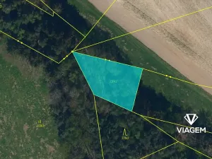 Prodej podílu lesa, Krásná Hora, Kojkovice, 598 m2