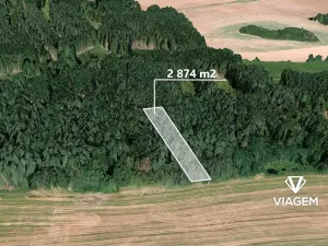 Prodej lesa, Hradiště, 2874 m2