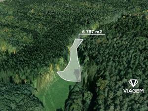 Prodej podílu pole, Morašice, 3959 m2