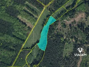 Prodej podílu pole, Morašice, 3959 m2