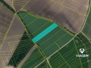 Prodej pole, Nezdenice, 13334 m2