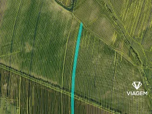 Prodej pole, Šumice, 8163 m2