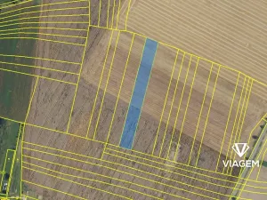 Prodej podílu lesa, Sebranice, 2296 m2