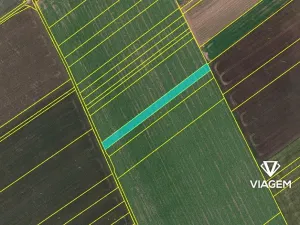 Prodej pole, Syrovice, 2655 m2