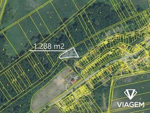 Prodej podílu lesa, Brod nad Dyjí, 644 m2