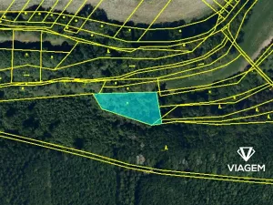 Prodej podílu lesa, Kyjov, 401 m2