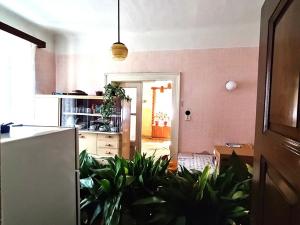 Prodej podílu rodinného domu, Heřmanův Městec, Jarkovského, 220 m2