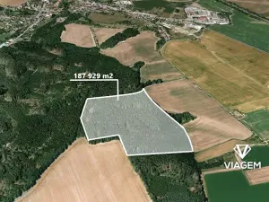 Prodej podílu lesa, Palonín, 36784 m2