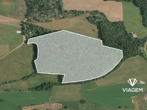 Prodej podílu lesa, Korkyně, 46018 m2