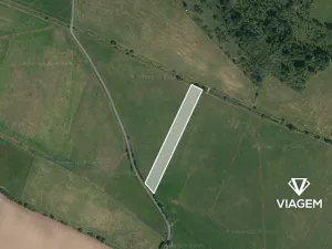 Prodej podílu pole, Borkovice, 1194 m2
