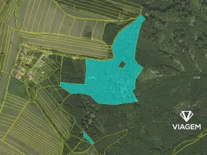 Prodej podílu lesa, Městečko Trnávka, 3310 m2