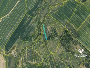 Prodej podílu pole, Rosička, 1295 m2