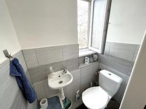 Pronájem bytu 2+1, Čelákovice, V Prokopě, 64 m2