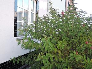 Prodej rodinného domu, Brno, Buzkova, 91 m2