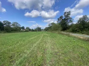 Dražba louky, Čížkov, 1885 m2