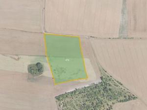 Prodej pole, Velvary, 7802 m2
