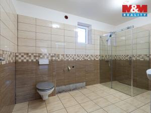 Prodej zemědělské usedlosti, Uničov - Benkov, 600 m2