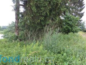 Prodej pozemku, Třebařov, 4992 m2