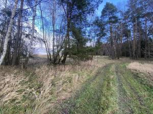 Prodej pozemku, Kaplice - Pořešín, 11526 m2
