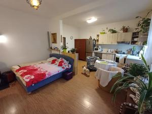 Prodej bytu 2+kk, Karlovy Vary, Pražská silnice, 79 m2