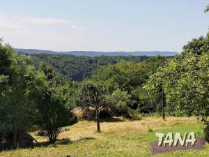 Prodej pozemku pro bydlení, Koberovy, 9985 m2