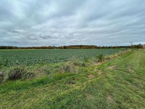 Dražba pozemku, Mokré, 1800 m2