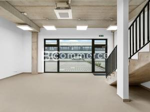 Pronájem skladu, Brno, Vinohradská, 446 m2