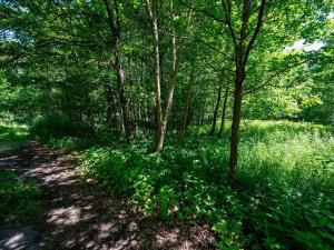 Prodej pozemku pro bydlení, Choustník, 114846 m2