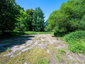 Prodej pozemku pro bydlení, Choustník, 114846 m2