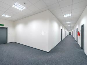 Pronájem obchodního prostoru, Praha - Ruzyně, Žukovského, 1295 m2