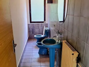 Pronájem rodinného domu, Borovany, U Dubu, 115 m2