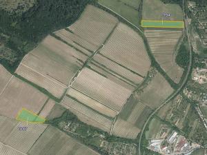 Prodej pole, Nový Šaldorf-Sedlešovice, 23720 m2