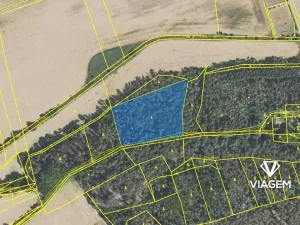 Prodej podílu lesa, Hrdlív, 2411 m2