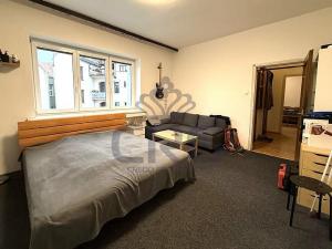 Pronájem bytu 1+1, Brno - Staré Brno, Nové sady, 48 m2