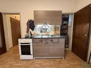 Pronájem bytu 1+1, Brno - Staré Brno, Nové sady, 48 m2