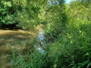 Dražba pozemku, Česká Lípa, 5369 m2