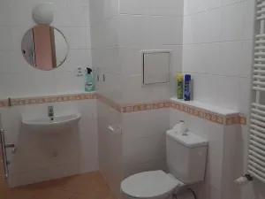Pronájem bytu 1+kk, Praha - Strašnice, Názovská, 40 m2