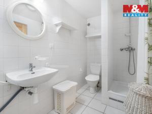 Prodej ubytování, Harrachov - Nový Svět, 239 m2