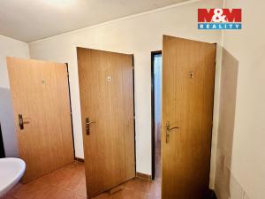 Pronájem skladu, Dražice, 800 m2