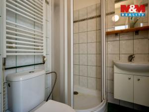 Prodej bytu 1+kk, Zlín, M. Knesla, 20 m2