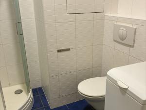 Pronájem bytu 1+kk, Pardubice - Polabiny, Labský Palouk, 32 m2