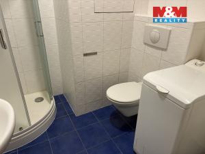 Pronájem bytu 1+kk, Pardubice - Polabiny, Labský Palouk, 32 m2